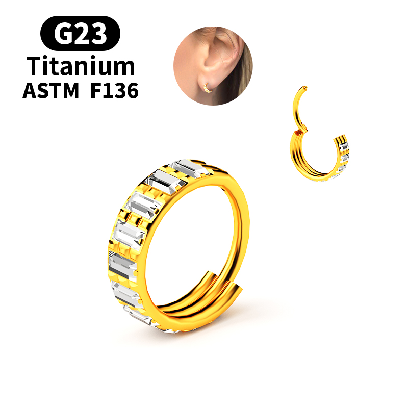 G23 Titan Zirkon Klappbarer Se – Body Jewelry Nipple Rings Bewertung und Preis
