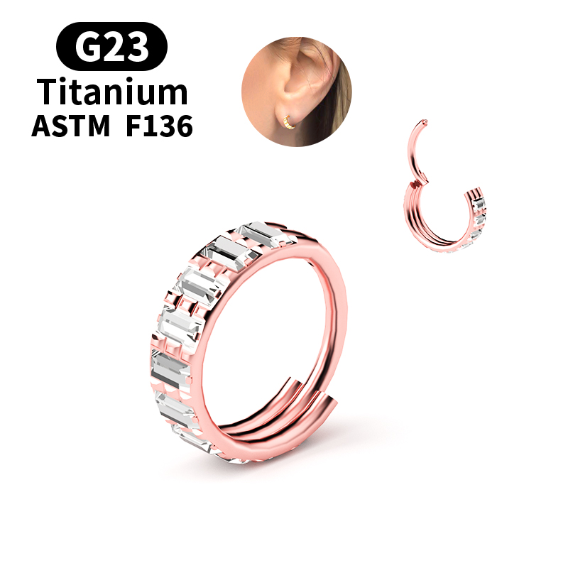 G23 Titan Zirkon Klappbarer Se – Body Jewelry Nipple Rings Bewertung und Preis