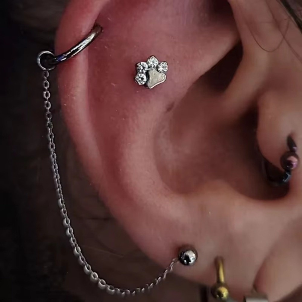 Titan-Nasenketten: Dreilagige  – Body Jewelry Piercing Bewertung und Preis