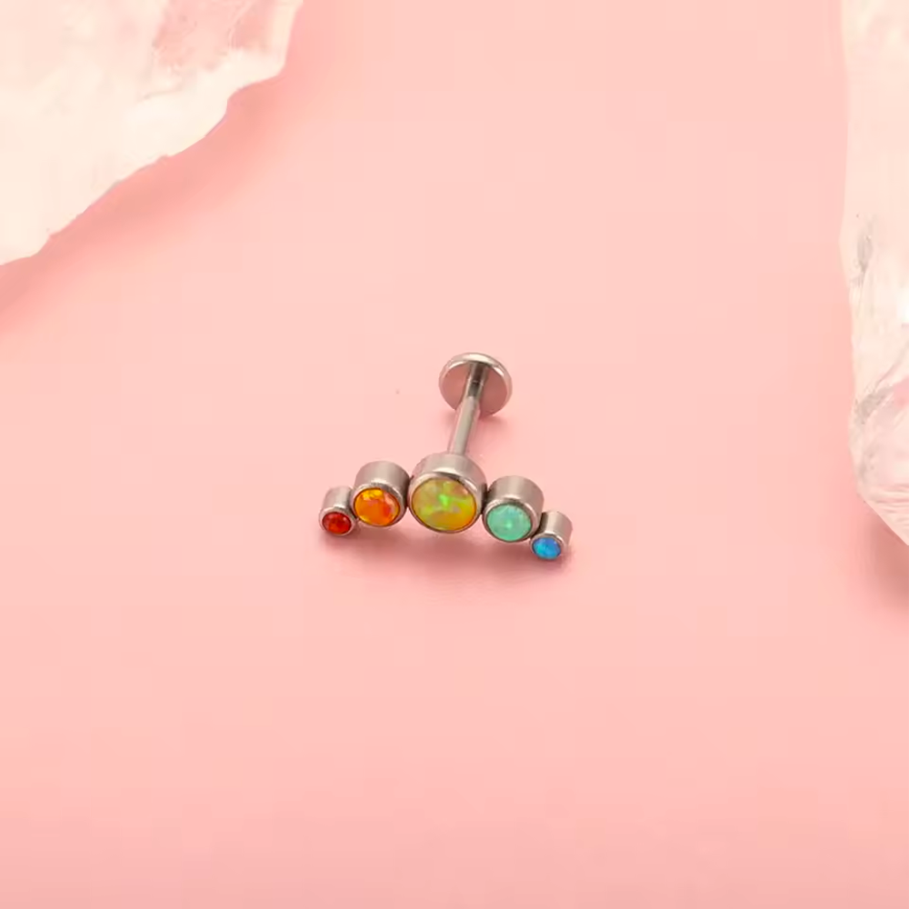 PUTITUP Offizielle F136 Titanl – Body Jewelry Quality Bewertung und Preis