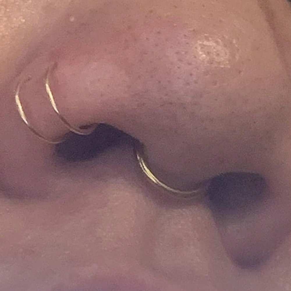 Künstliche Nasenringe, künstli – Body Jewelry Piercing Bewertung und Preis