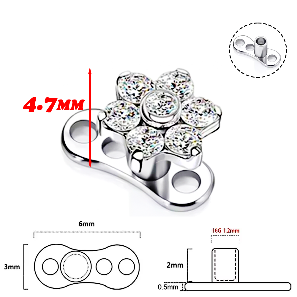 F136 Titanlegierung, hochwerti – Body Jewelry Quality Bewertung und Preis
