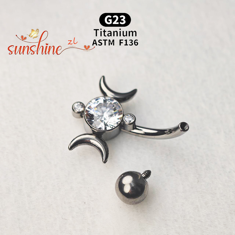 1PCS G23 Titan VCH Piercing Sc – Body Jewelry Vch Bewertung und Preis
